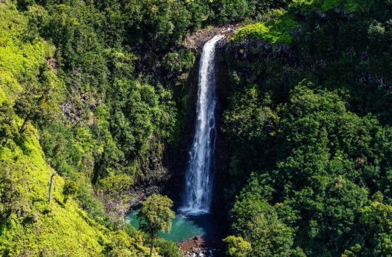 From Princeville: Discover Kauai Helicopter Tour - The Sum Up
