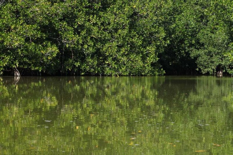 From Puerto Escondido: Day Trip to Chacahua National Park - Exploring the Flora, Fauna, and Culture