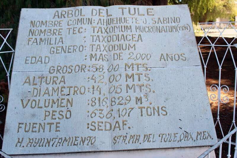 From Puerto Escondido: Gataway to Oaxaca in one day. - FAQs