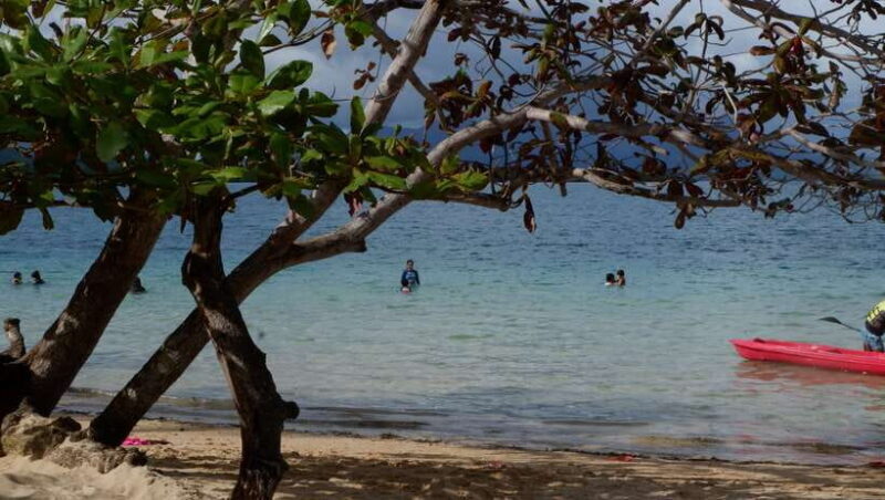 From Puerto Princesa: Honda Bay Island Hopping Full-Day Tour - Final Thoughts: Is This Tour Worth It?