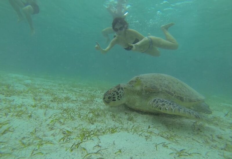 From Puerto Princesa: Port Barton & Island Hopping Day Trip - Who Should Consider This Tour?