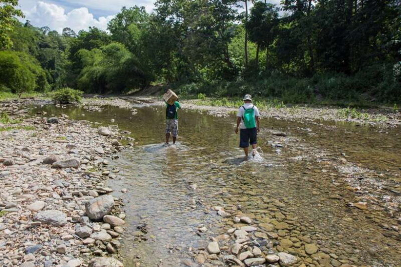 From Puerto Princesa: Trek to Batak Tribe Village - Key Points