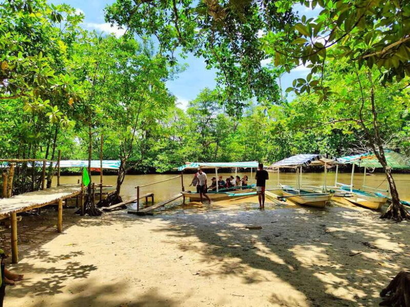 From Puerto Princesa: Underground River Guided Day Trip - An In-Depth Look at the Puerto Princesa Underground River Tour
