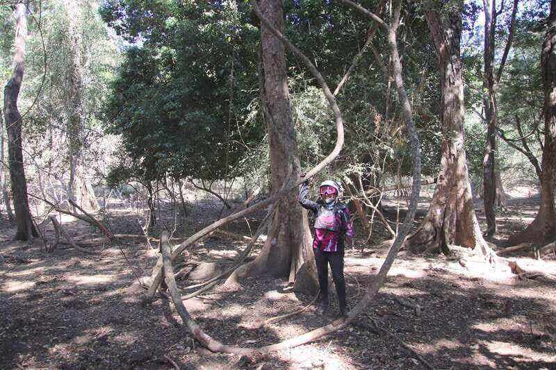 From Puerto Vallarta: 2-Hour Guided Sierra Vallejo Hike - Exploring the Sierra Vallejo: A 2-Hour Guided Hike from Puerto Vallarta
