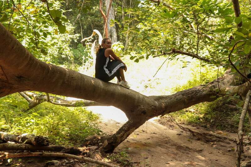 From Puerto Vallarta: 2-Hour Guided Sierra Vallejo Hike - Final Thoughts: Who Should Consider This Hike?