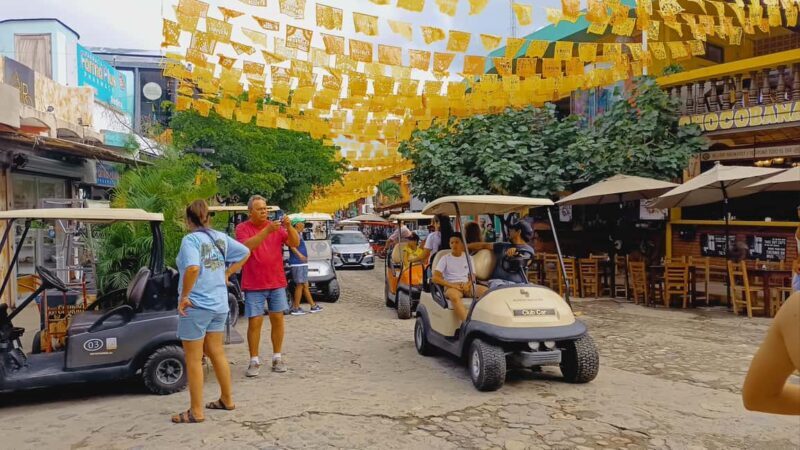 From Puerto Vallarta: San Pancho and Sayulita Cultural Tour - Final Words