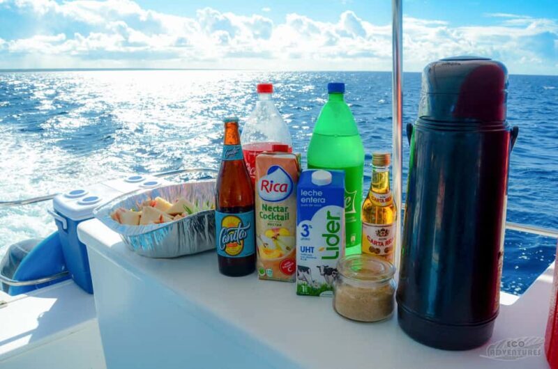 From Punta Cana: Catalina Snorkeling & Altos de Chavon Tour - Who Will Enjoy This Tour?