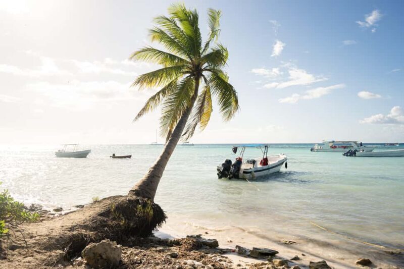 From Punta Cana: Catamaran Tour to Saona Island with Open Bar and Buffet - Key Points