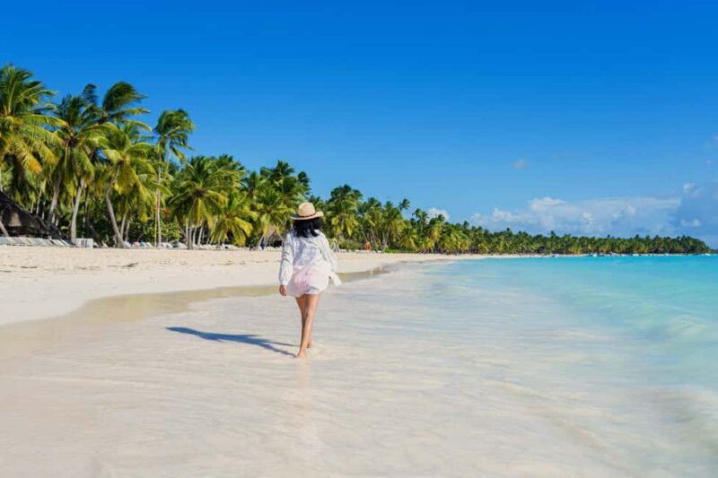 From Punta Cana: Catamaran Tour to Saona Island with Open Bar and Buffet - An In-Depth Look at the Experience