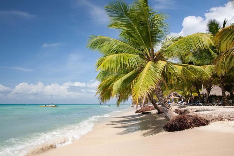 From Punta Cana: Catamaran Tour to Saona Island with Open Bar and Buffet - Who Is This Tour Best For?