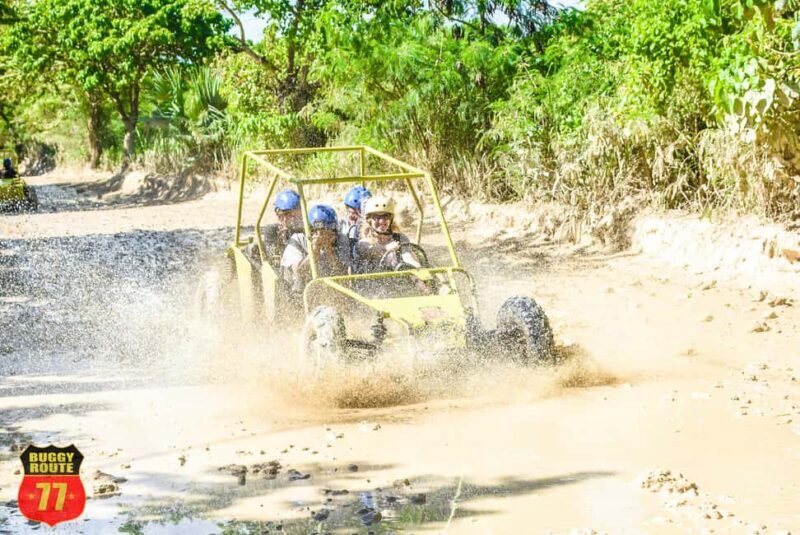 From Punta Cana: Countryside Off-Road Buggy Adventure - An Overview of the Tour Experience