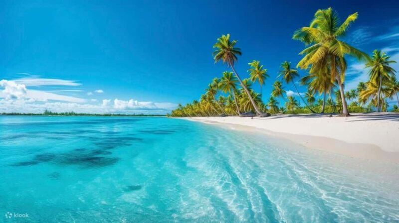 From Punta Cana: Exclusive Catalina Island Tour with Transportation and Lunch - Key Points
