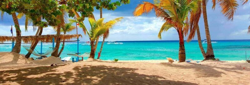 From Punta Cana: Exclusive Catalina Island Tour with Transportation and Lunch - A Closer Look at What You Can Expect