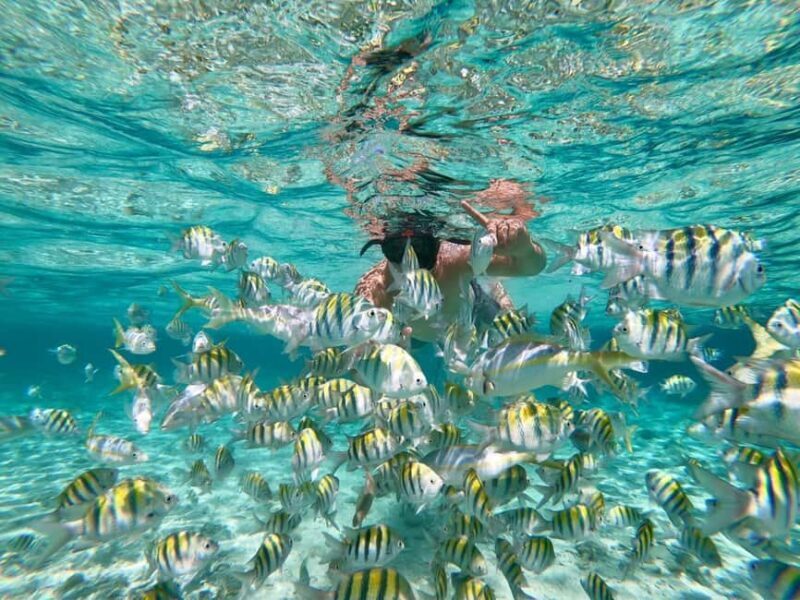 From Punta Cana: Exclusive Catalina Island Tour with Transportation and Lunch - FAQ