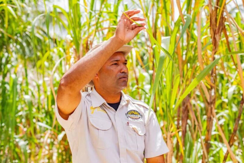 From Punta Cana: Full-Day Island Tour with Lunch - Authentic Experiences That Matter
