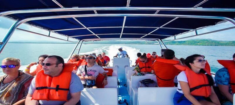 From Punta Cana: Samana Full Day Trip by Bus and Boat - The Sum Up