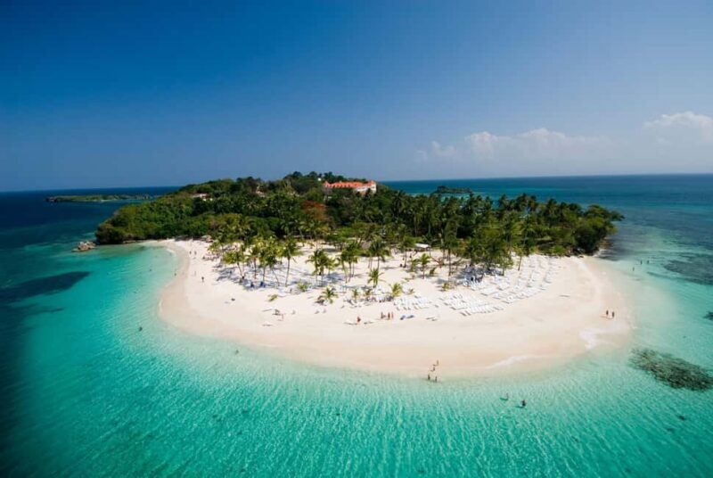 From Punta Cana: Sanctuary Whale Watching Day Trip - Key Points