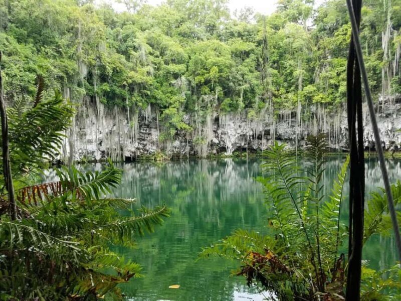 From Punta Cana Santo Domingo Day Trip with Hotel Pickup - Is This Tour Worth the Cost?