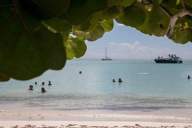 From Punta Cana: Saona Island & Altos de Chavon Day Trip with Lunch and Open Bar - Who Should Consider This Tour?