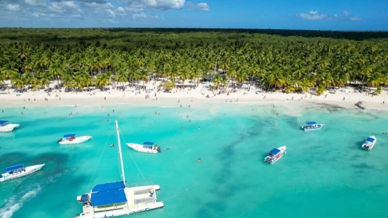 From Punta Cana: Saona Island Day Trip with Buffet Lunch - Key Points