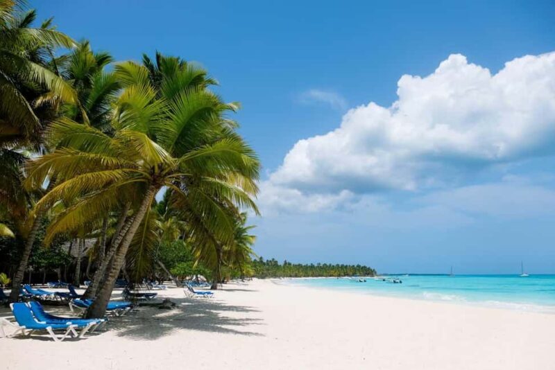 From Punta Cana: Saona Island Day Trip with Buffet Lunch - The Bottom Line