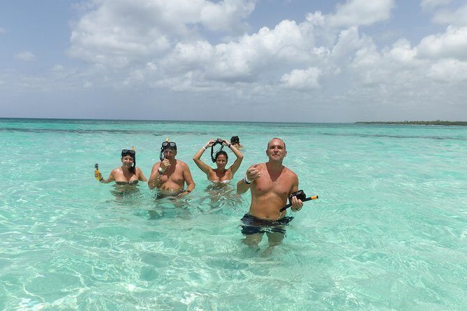 From Punta Cana: Saona Island Full Day For Small Group Catamaran - Key Points