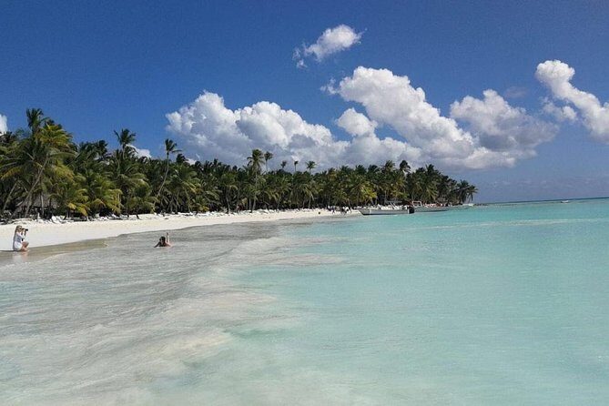 From Punta Cana: Saona Island Full Day For Small Group Catamaran - Food, Drinks, and Atmosphere