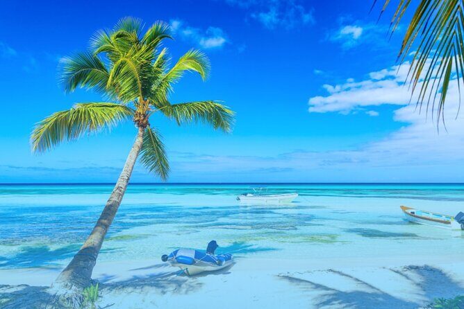 From Punta Cana: Saona Island Full Day For Small Group Catamaran - The Sum Up