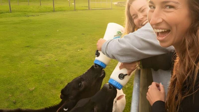 From Queenstown: Coach, Farm Tour & Milford Nature Cruise - A Closer Look at the Experience