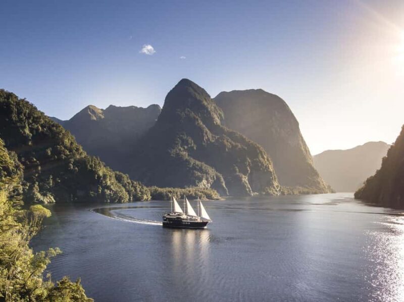 From Queenstown: Doubtful Sound Wilderness Day Trip - An In-Depth Look at the Doubtful Sound Day Trip from Queenstown