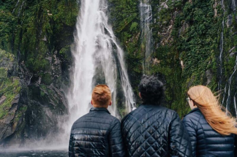 From Queenstown: Milford Sound Cruise and Scenic Drive - Who Will Love This Tour?