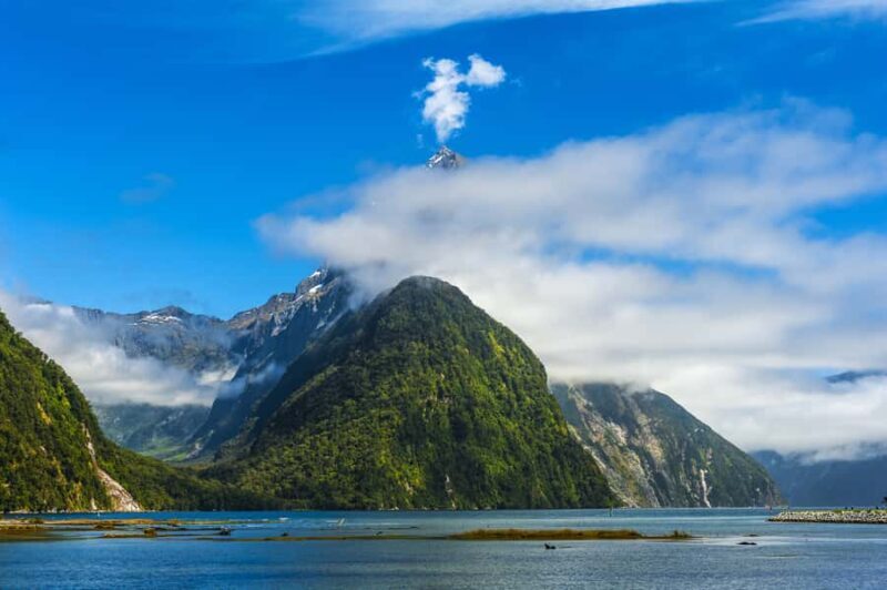 From Queenstown Milford Sound Cruise & Glass-Roof Coach Tour - An Authentic Journey into Milford Sound