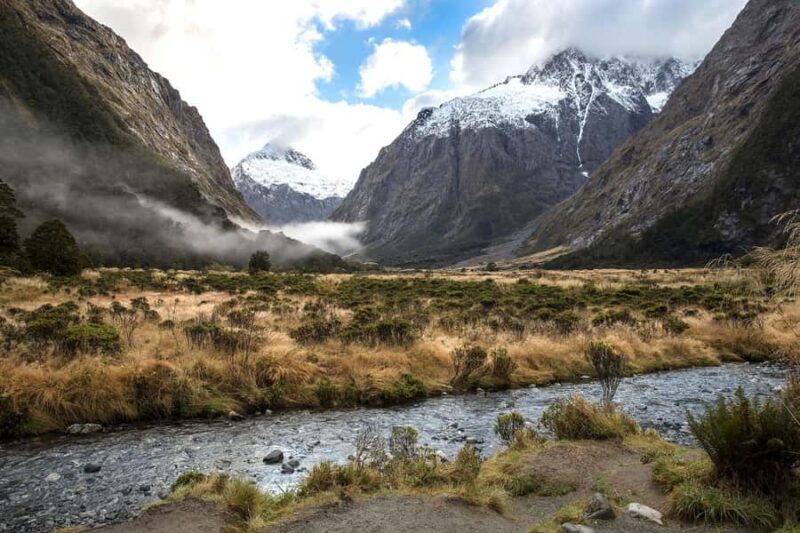 From Queenstown Milford Sound Cruise & Glass-Roof Coach Tour - What Reviewers Say: Authentic Perspectives
