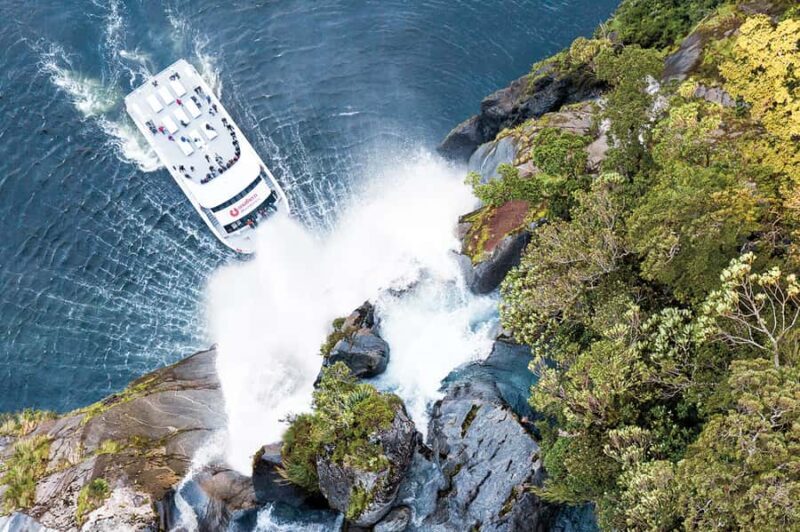 From Queenstown: Milford Sound Day Trip on Premium Coach - An Overview of the Experience