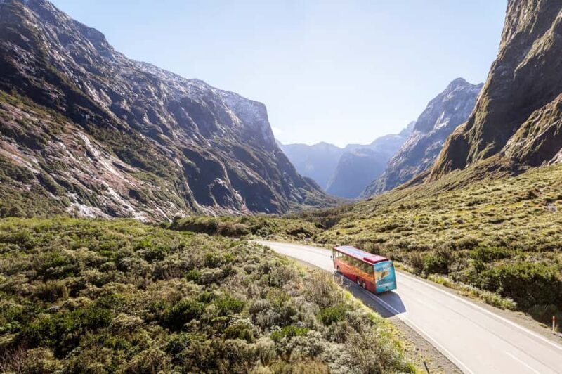 From Queenstown: Milford Sound Day Trip on Premium Coach - FAQ