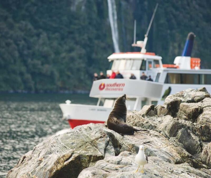 From Queenstown: Milford Sound Discover More Longest Cruise - The Itinerary: A Deep Dive into the Day