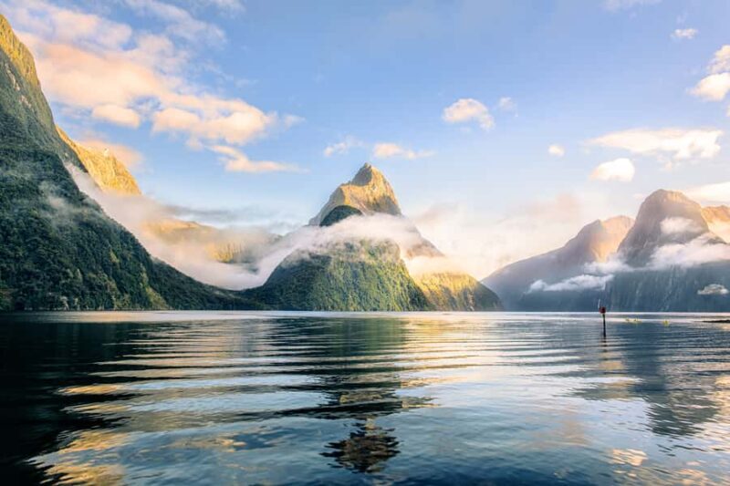 From Queenstown: Milford Sound Premium Day Tour and Cruise - Detailed Experience Breakdown