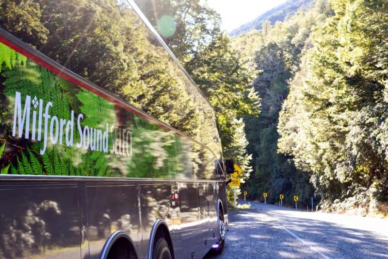 From Queenstown: Milford Sound Premium Day Tour and Cruise - The Sum Up