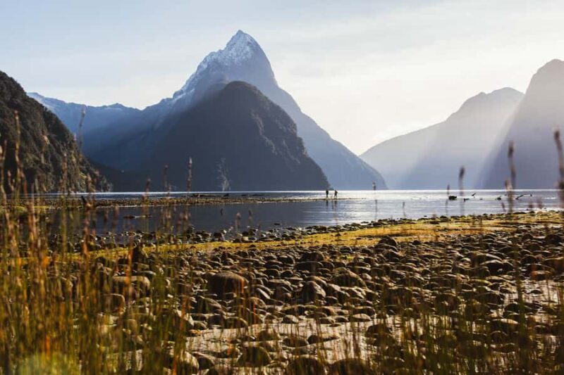 From Queenstown: Milford Sound Scenic Flight & Nature Tour - FAQ