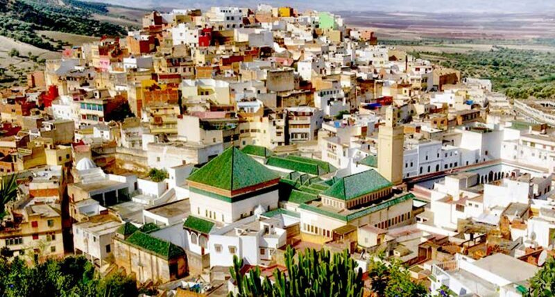 From Rabat: Volubilis and Meknes Full-day Tour - Key Points