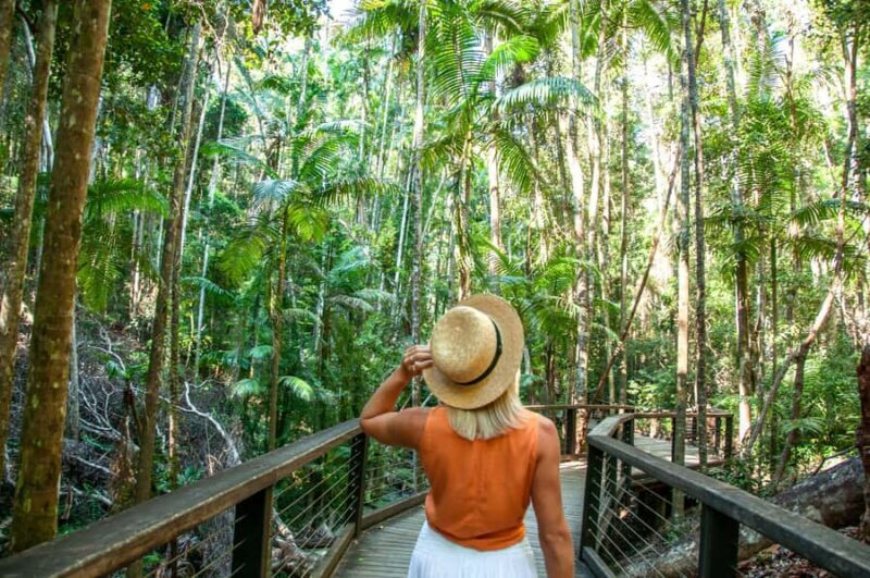 From Rainbow Beach: K'gari Fraser Island Full-Day Coach Tour - FAQ