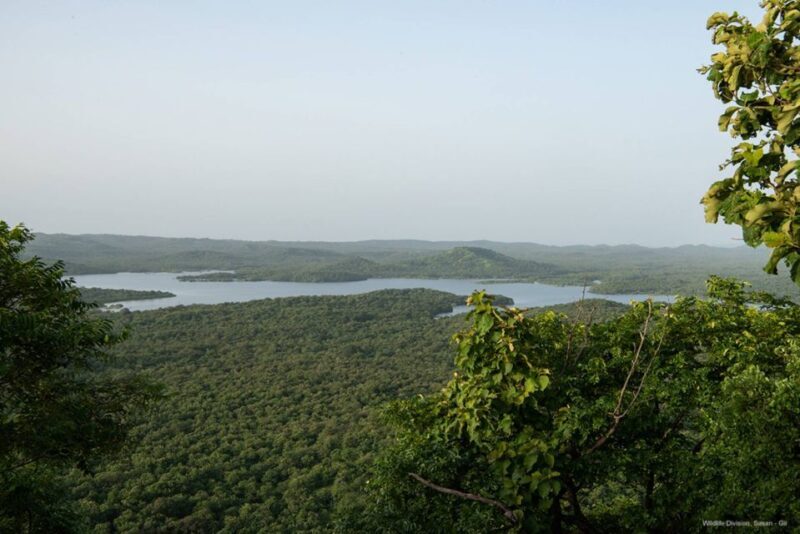 From Rajkot: Gir Somnath Weekend Tour - What We Appreciate About This Tour