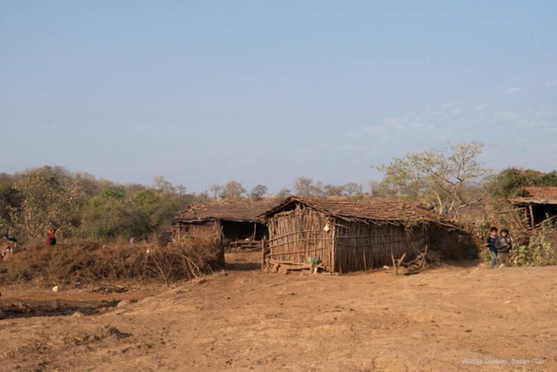 From Rajkot: Gir Somnath Weekend Tour - Final Thoughts: Is It Worth It?
