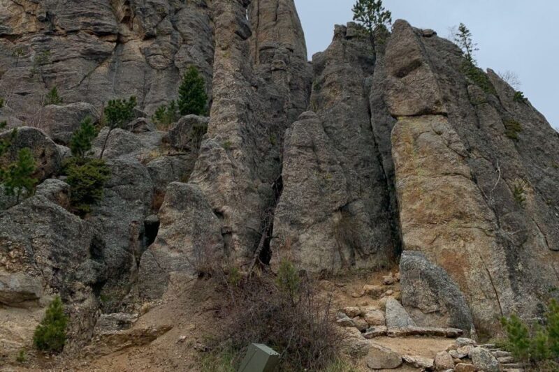 From Rapid City: Custer State Park Private Safari and Hiking - Is This Tour Worth the Price?