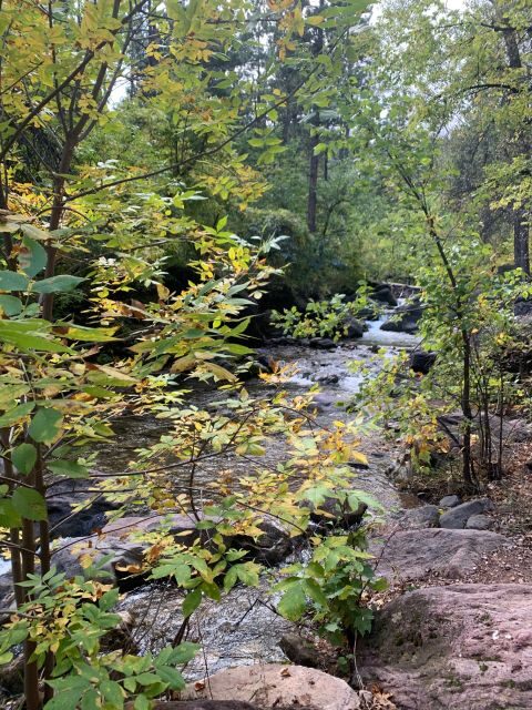 From Rapid City: Private Spearfish Canyon Tour - Key Points