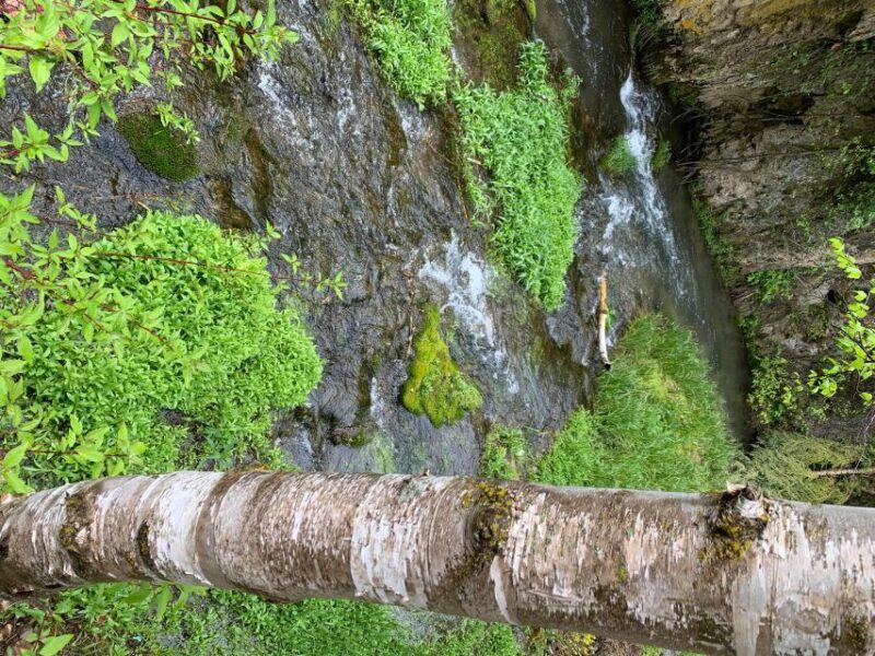 From Rapid City: Private Spearfish Canyon Tour - Exploring Spearfish Canyon: What You Can Expect