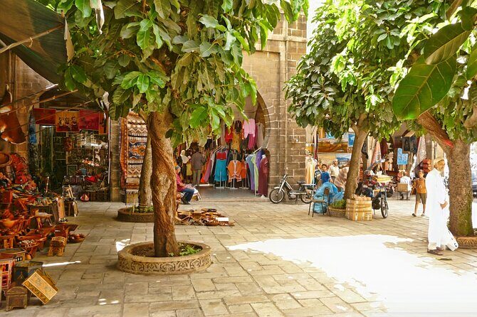 From rick's coffee to local markets authentic casablanca - What the Reviews Say