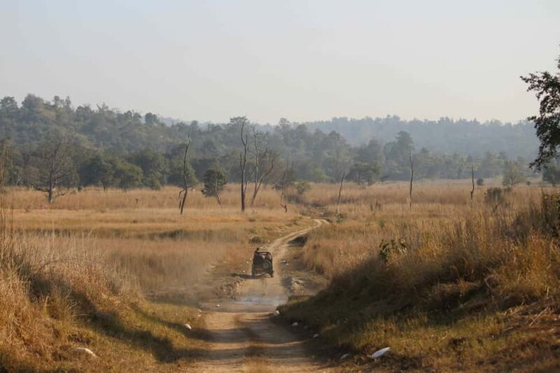 From Rishikesh: Rajaji National Park Half-Day Tour - Key Points
