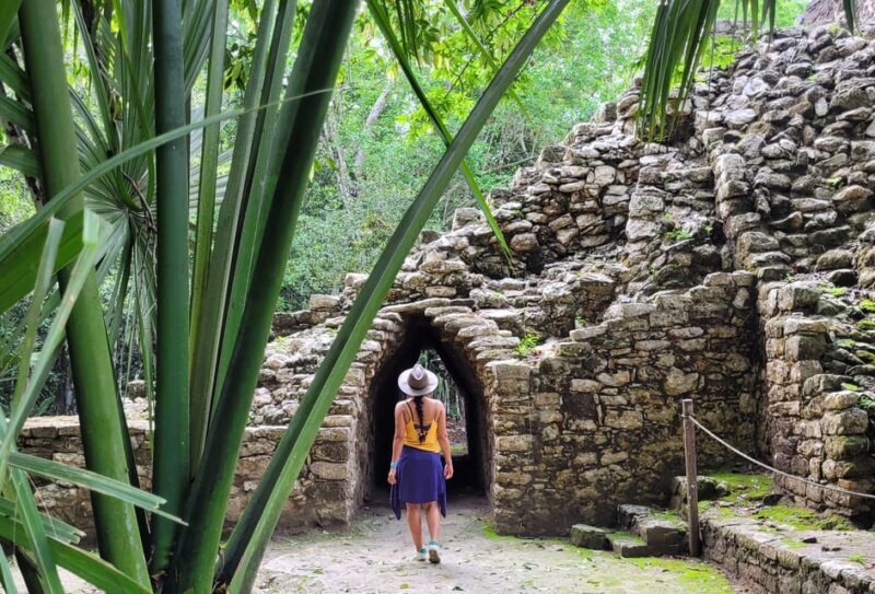 From Riviera Maya: Coba, Punta Laguna & Cenote Guided Trip - The Sum Up