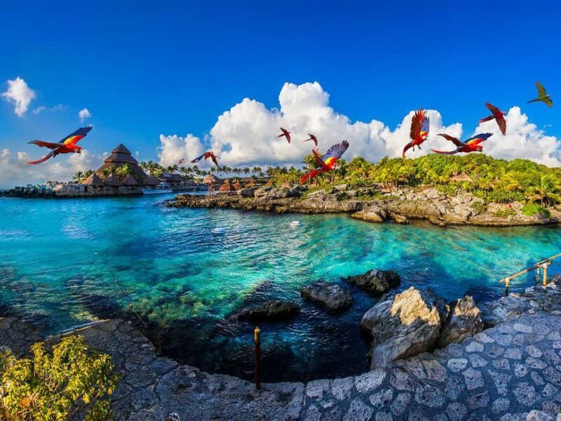 From Riviera Maya: Complete Combo to Xcaret Park! - Key Points